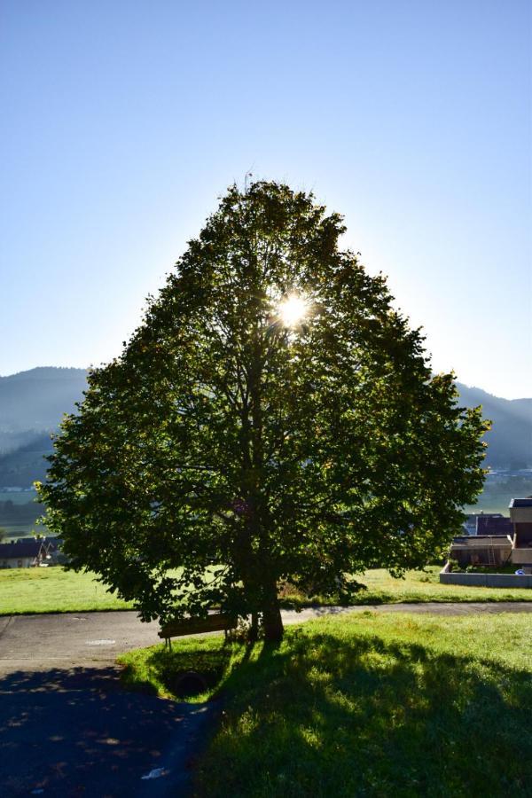 Hutmann Appartement Kirchdorf in Tirol Buitenkant foto